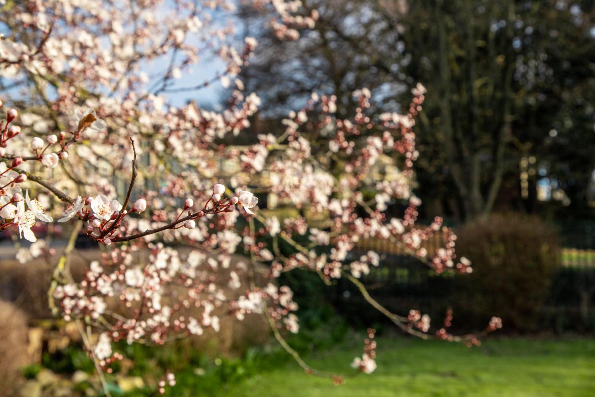 Hotel Arnos Manor Bristol